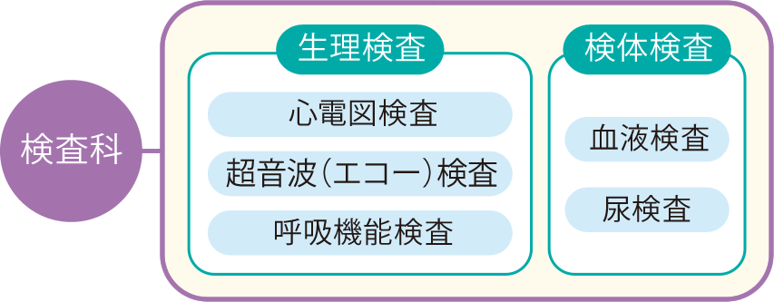 検査科の図。生理検査は心電図検査・超音波検査・呼吸機能検査に分類、検体検査は血液検査・尿検査の2つに分類される